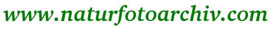Naturfotoarchiv